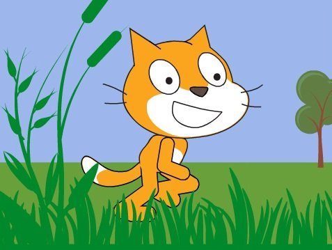 Chat, dessin realisé avec le logiciel scratch