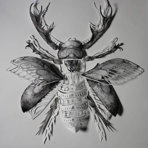 Travail de paper cut ou papier découpé représentant un insecte