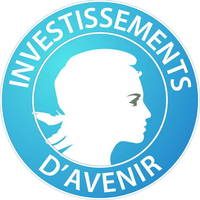 Logo Investissements d'avenir