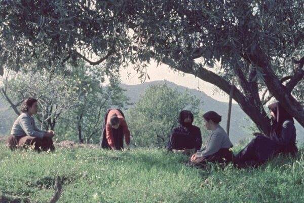 Personnes assises dans l'herbe