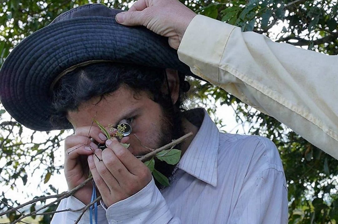 Photo d'un homme regardant une fleur à travers une loupe